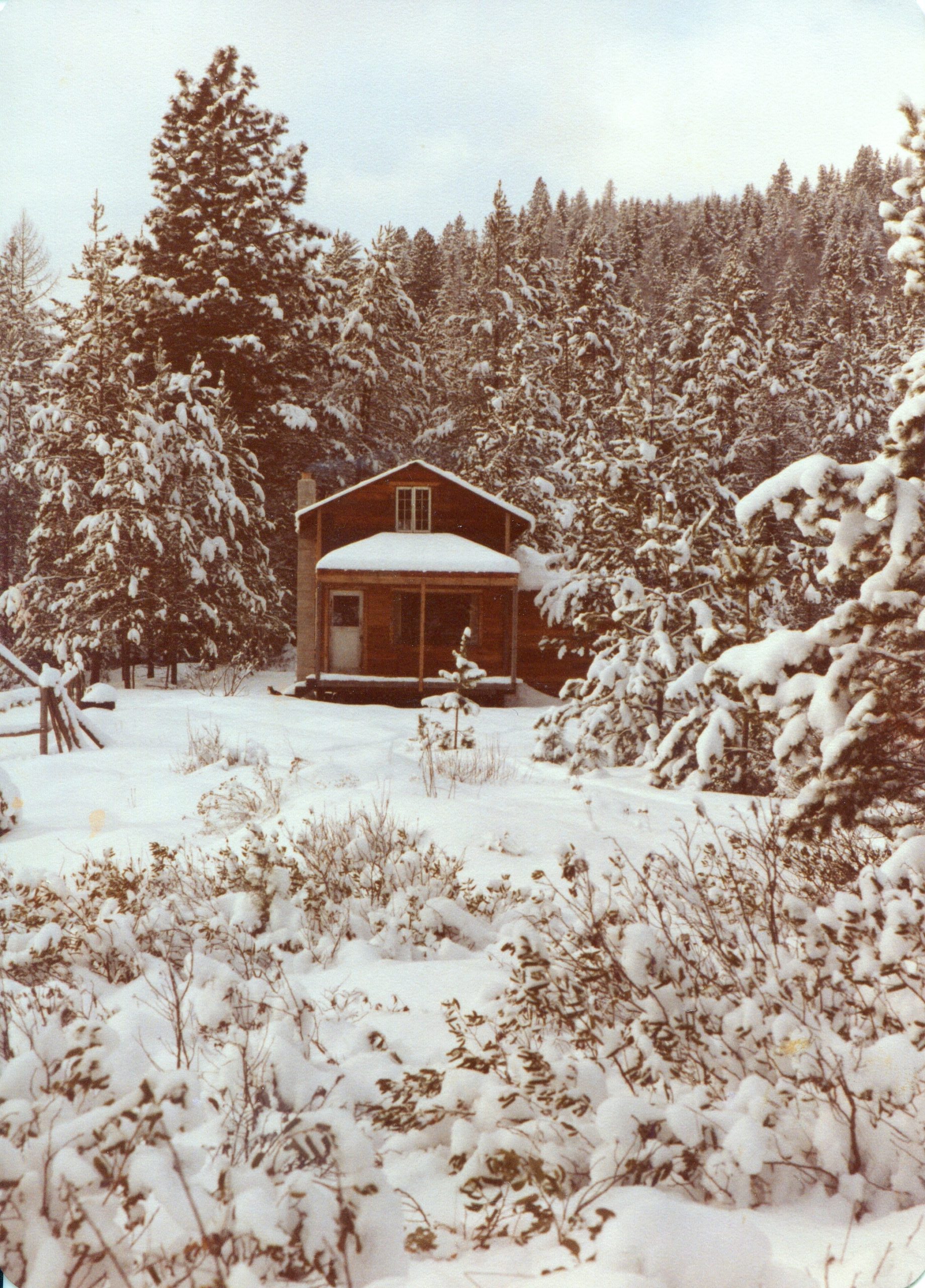 house in the woods covered in snow