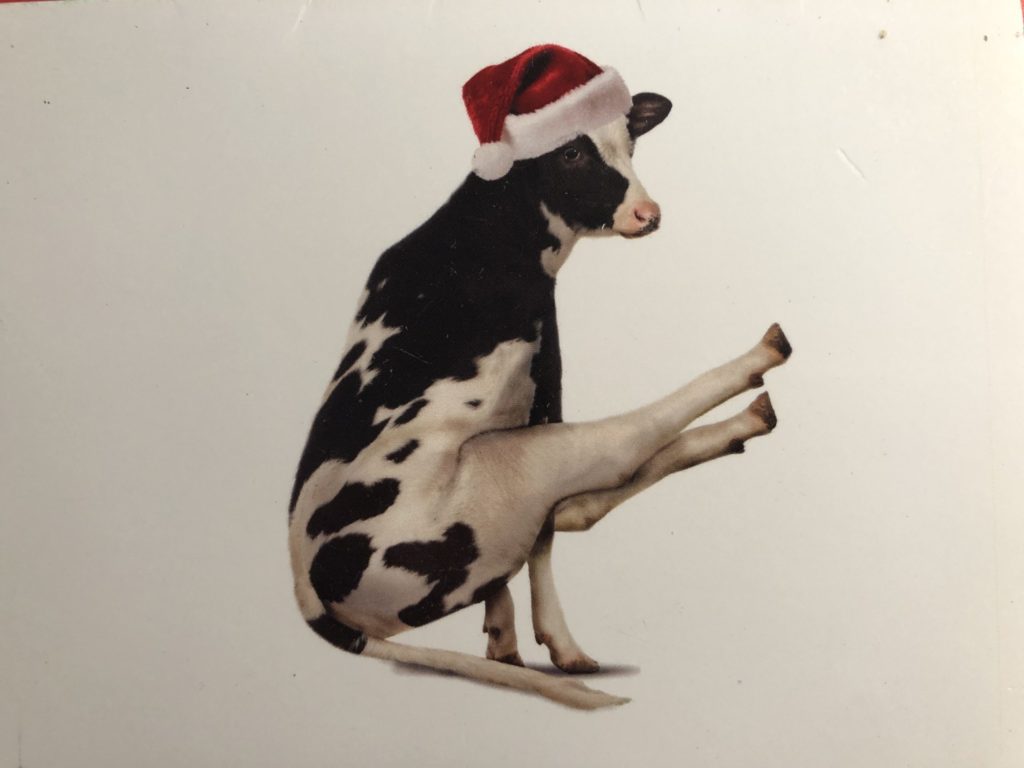 drawing of a cow dancing with a Christmas hat