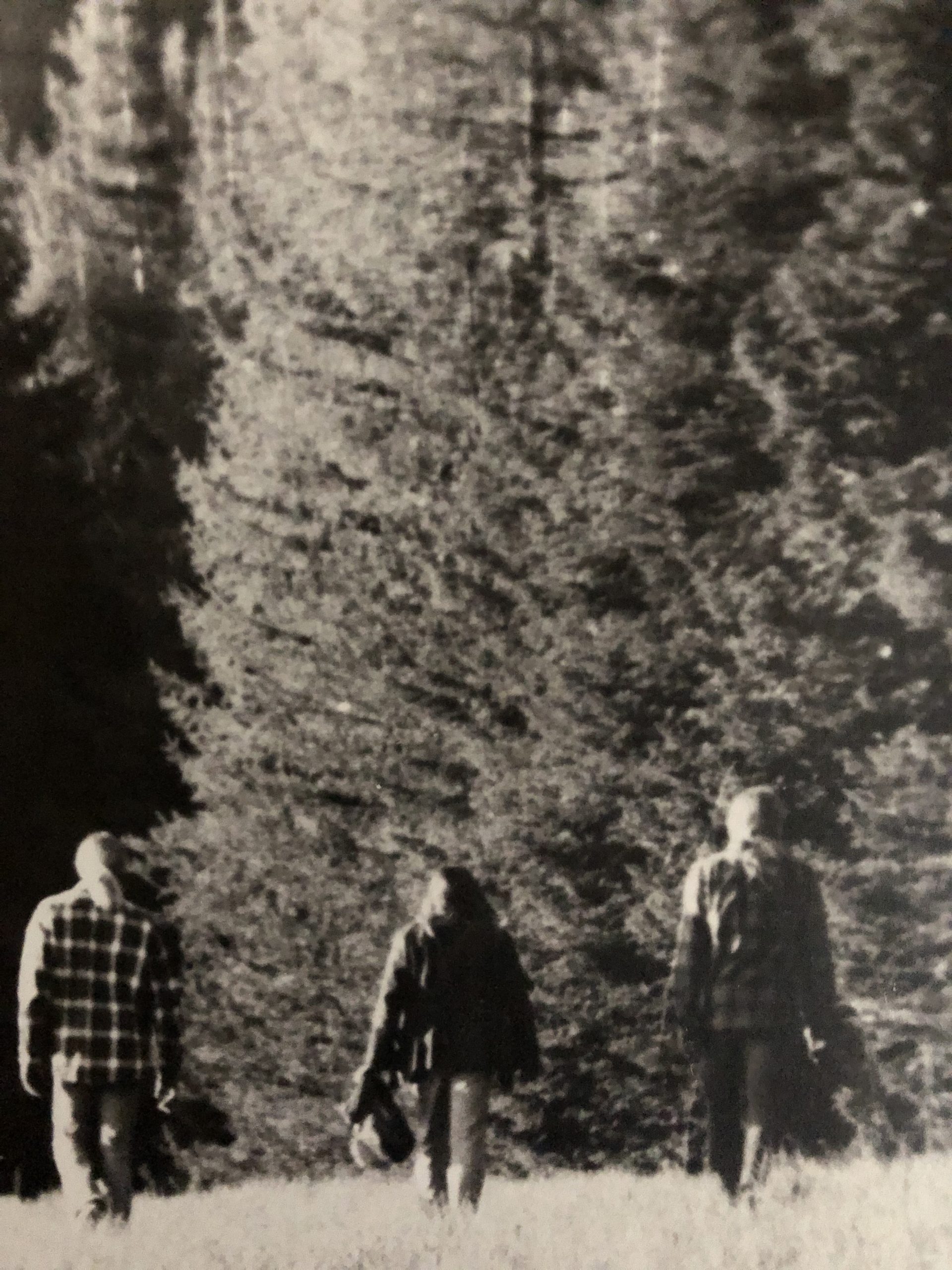 black and white photo of three people in the woods