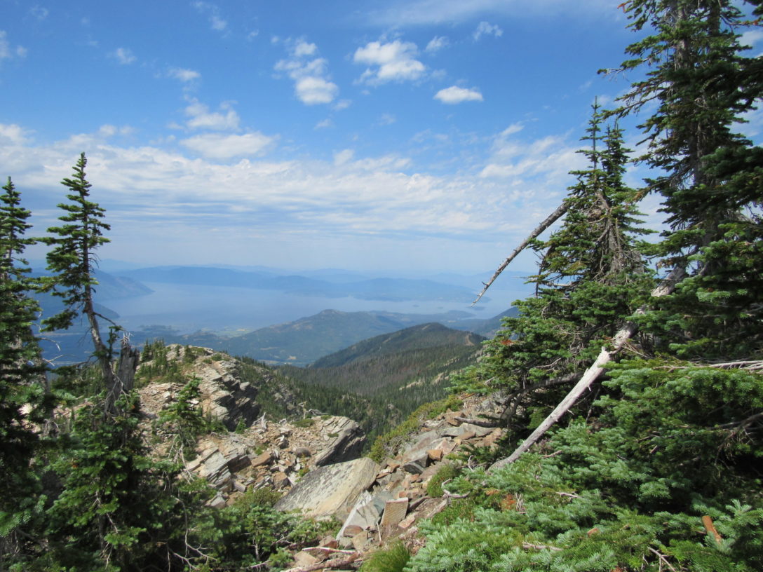 view from the forrest to the sea