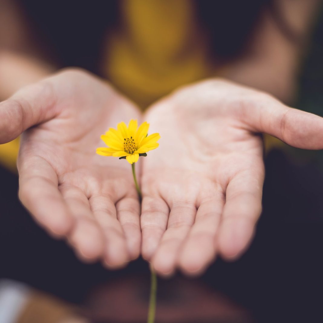 selective focus photography of woman holding yellow petaled flowers